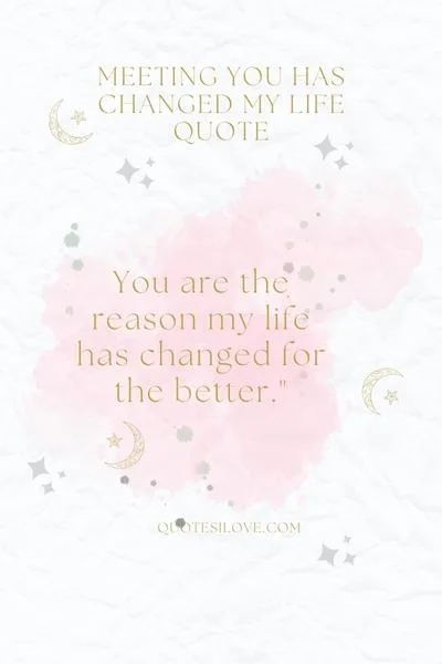 Meeting You Has Changed My Life Quotes and Poems