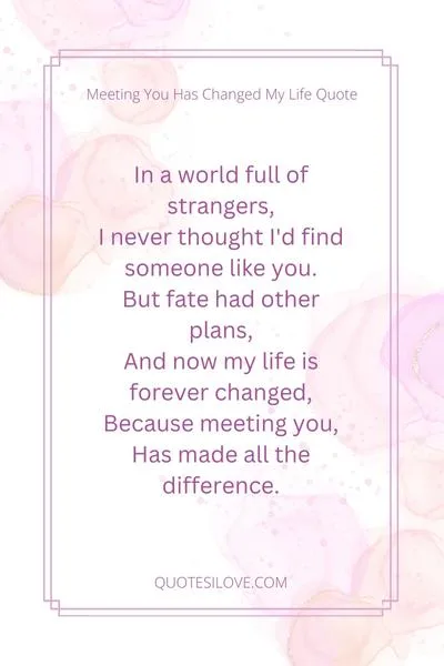 Meeting You Has Changed My Life Quotes and Poems