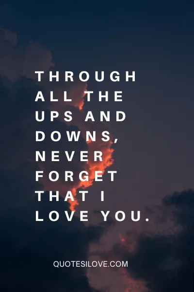 Never Forget That I Love You Quotes 3 49 jpg
