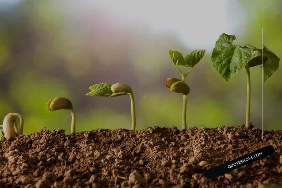 A Little Progress Each Day Quotes