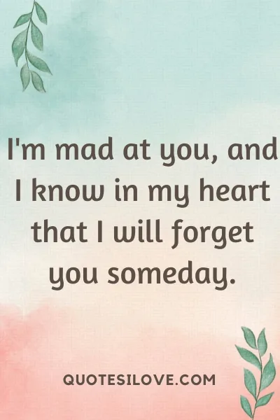One Day I Will Forget You Quotes