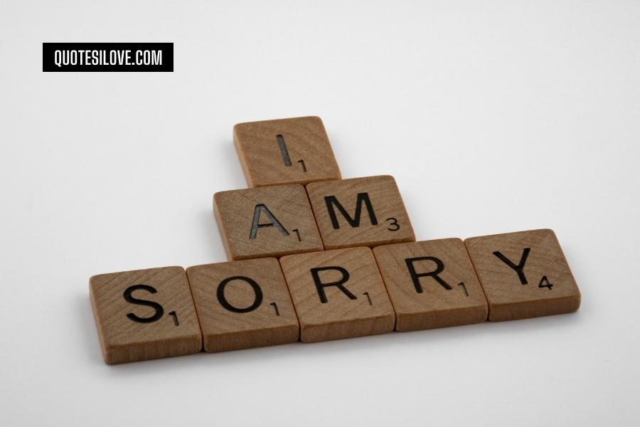 I Am Sorry Quotes for Hurting You Friend