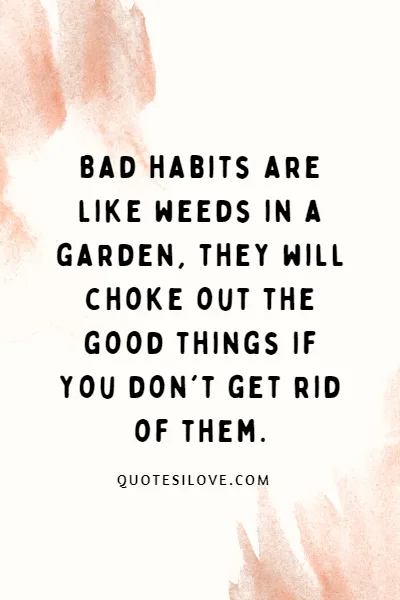 Bad Habit Destroys Relationships Quotes Bad Habit Destroys Relationships Quotes