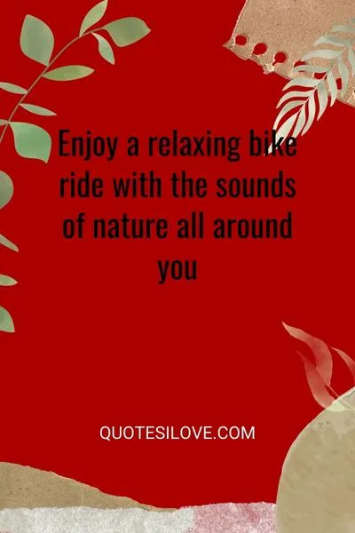 Evening Cycling Quotes for a Bike Ride