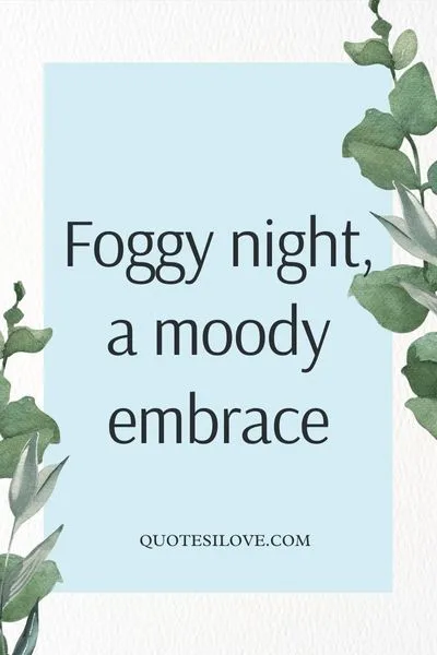 Foggy Night Quotes