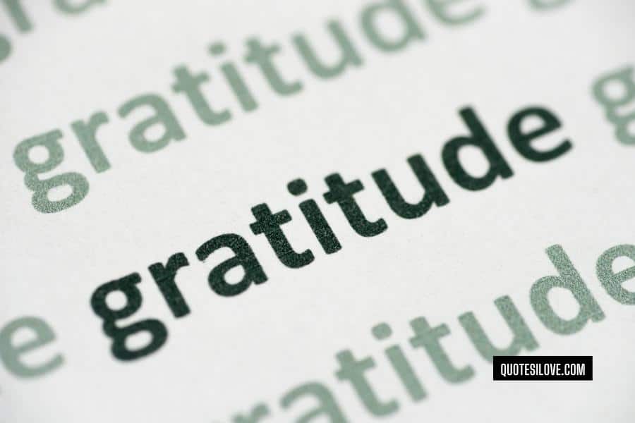 Gratitude Quotes for Students
