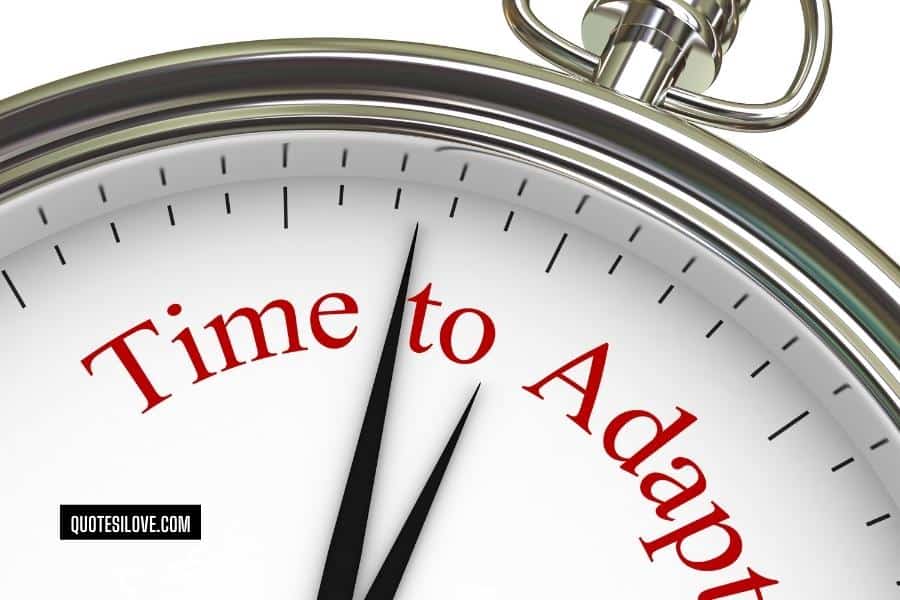 Quotes About Adapting to Change in Business