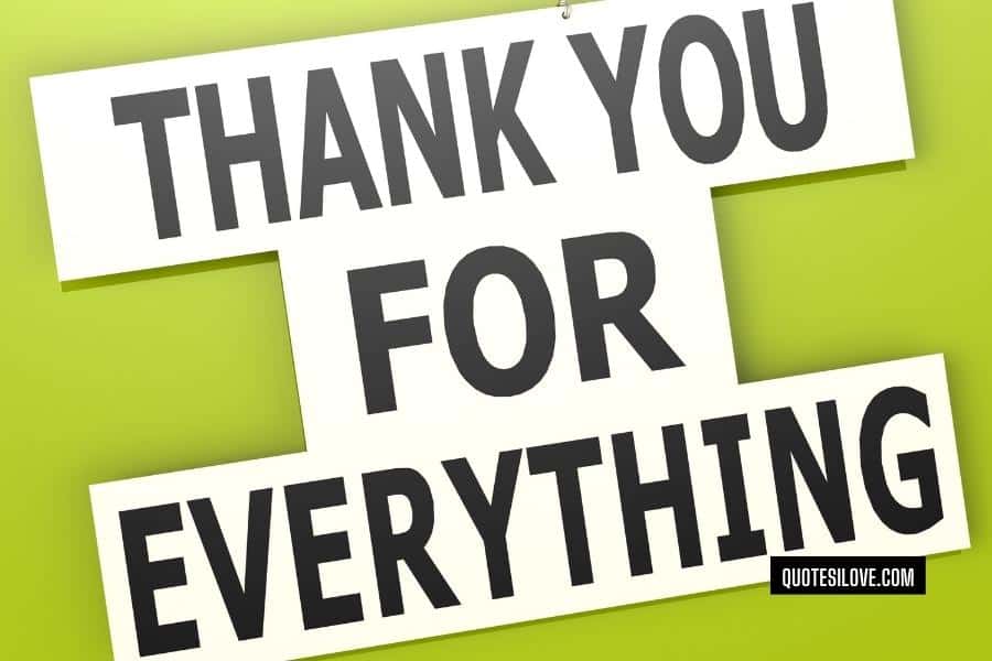 Thank You for Everything You Do for Us Quotes