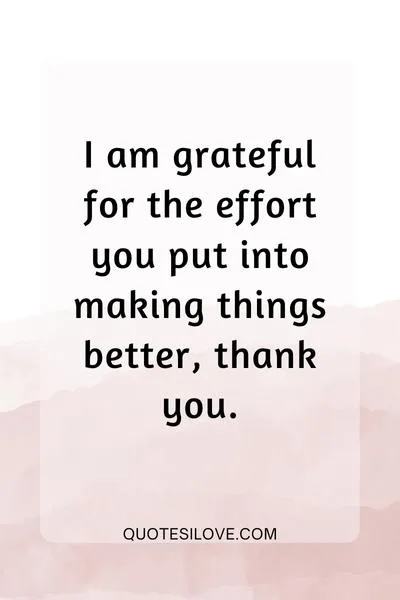 Thank You for the Effort Quotes