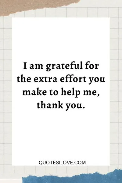 Thank You for the Effort Quotes