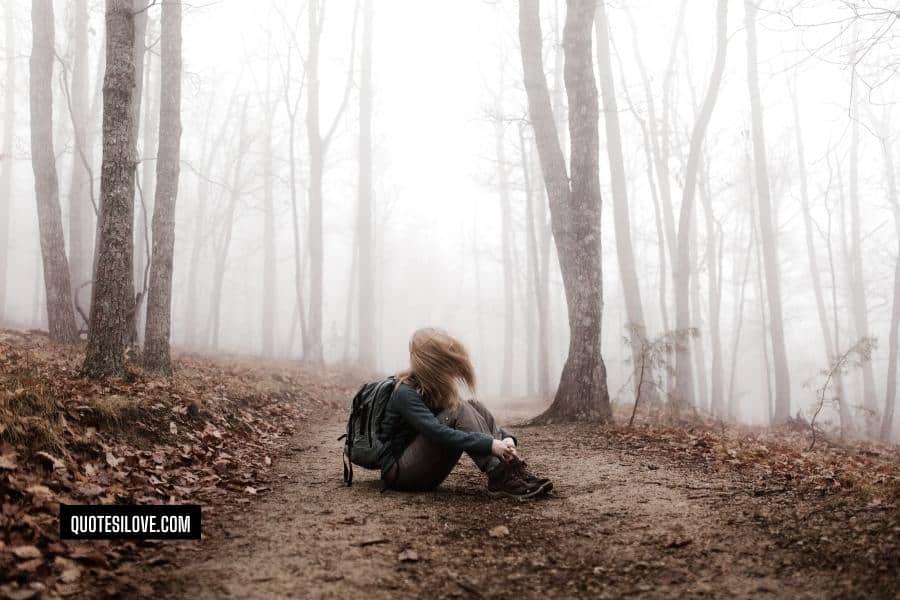 Alone in the Woods Quotes