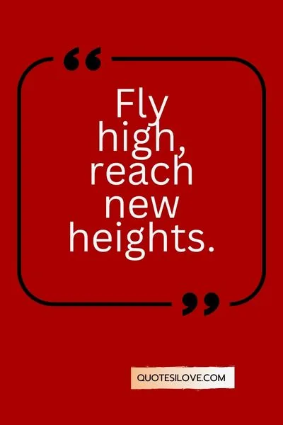 Flight Travelling Quotes