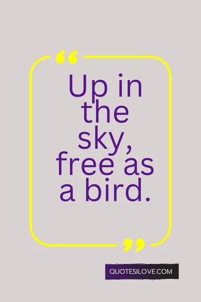 Flight Travelling Quotes