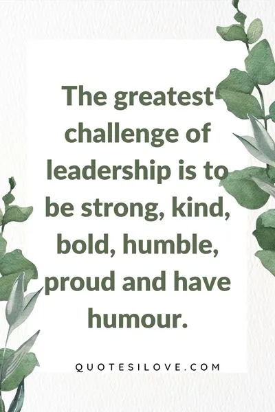 Leadership Challenges QuotesTeam Leader QuotesQuotes for Accounting Students