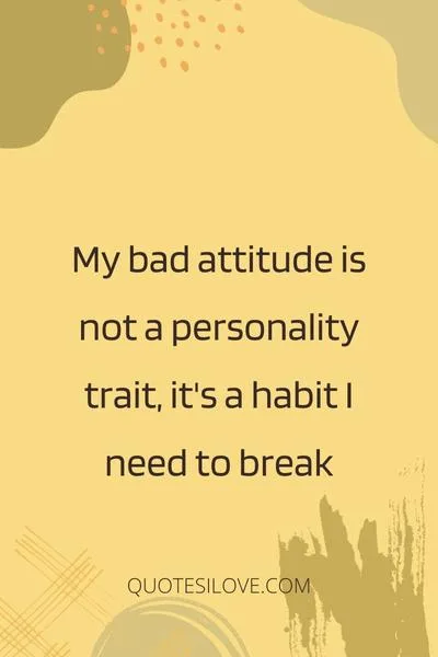 My Bad Attitude Quotes My Bad Attitude Quotes
