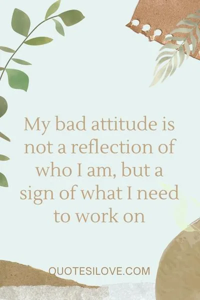 My Bad Attitude Quotes My Bad Attitude Quotes