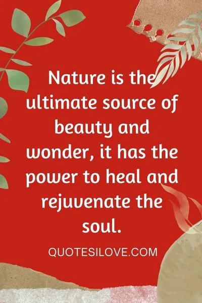 Nature Attraction Quotes Nature Attraction Quotes