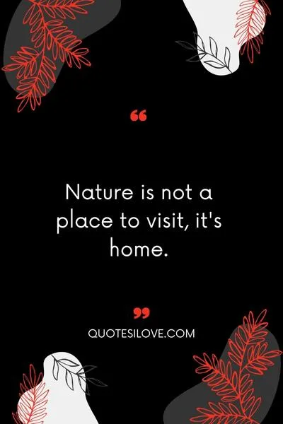 Nature Attraction Quotes Nature Attraction Quotes
