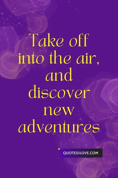Quotes About Flying in a Plane