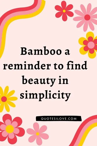 Bamboo Quotes for Instagram