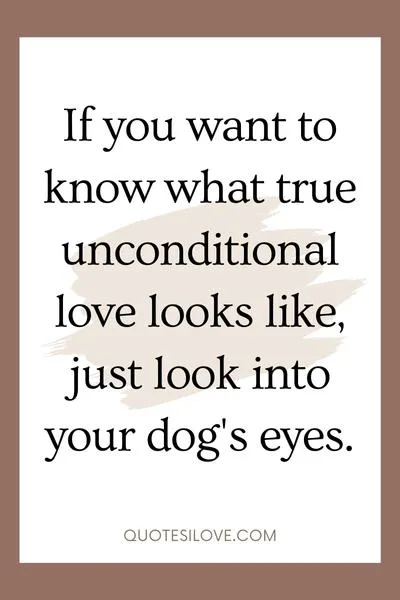 Be the Person Your Dog Thinks You Are Quotes Be the Person Your Dog Thinks You Are Quotes