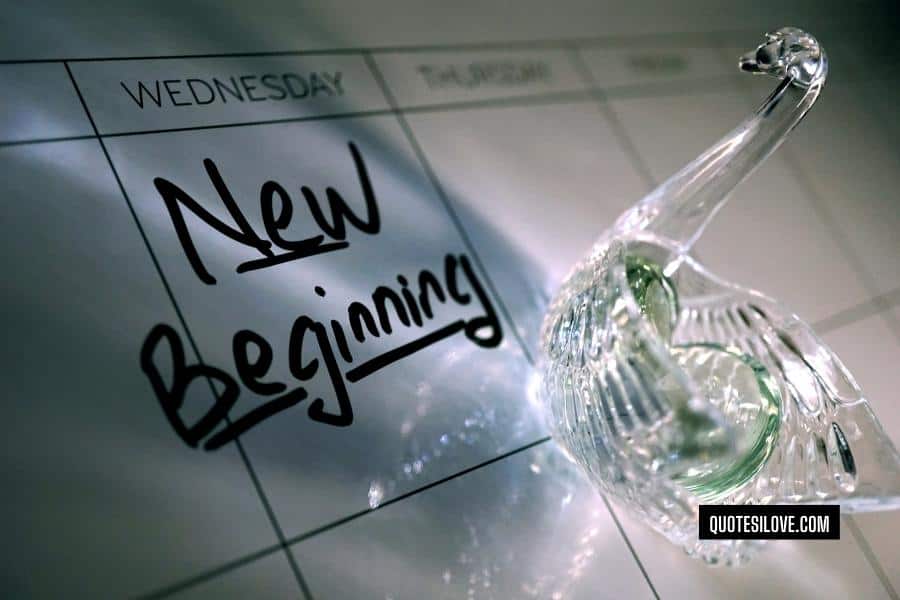 Beginning of a New Chapter Quotes
