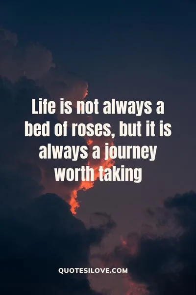 Life Is Not Always a Bed of Roses Quotes Life Is Not Always a Bed of Roses Quotes