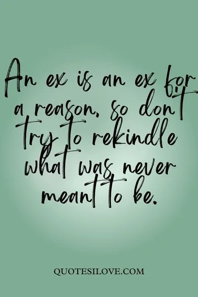 An Ex Is an Ex for a Reason Quotes An Ex Is an Ex for a Reason Quotes