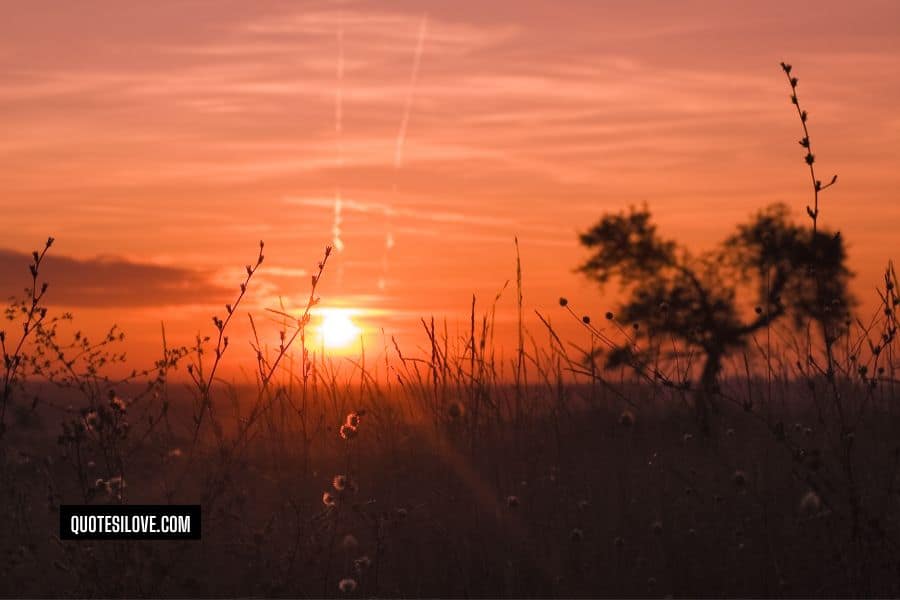 Autumn Equinox Quotes