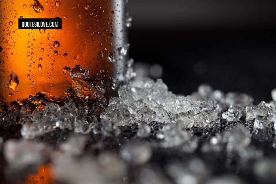 Cold Beer Quotes and Sayings