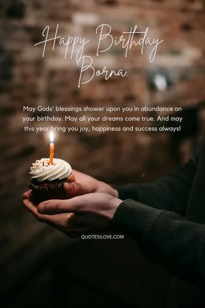 Happy Birthday Borna Quotes and Wishes