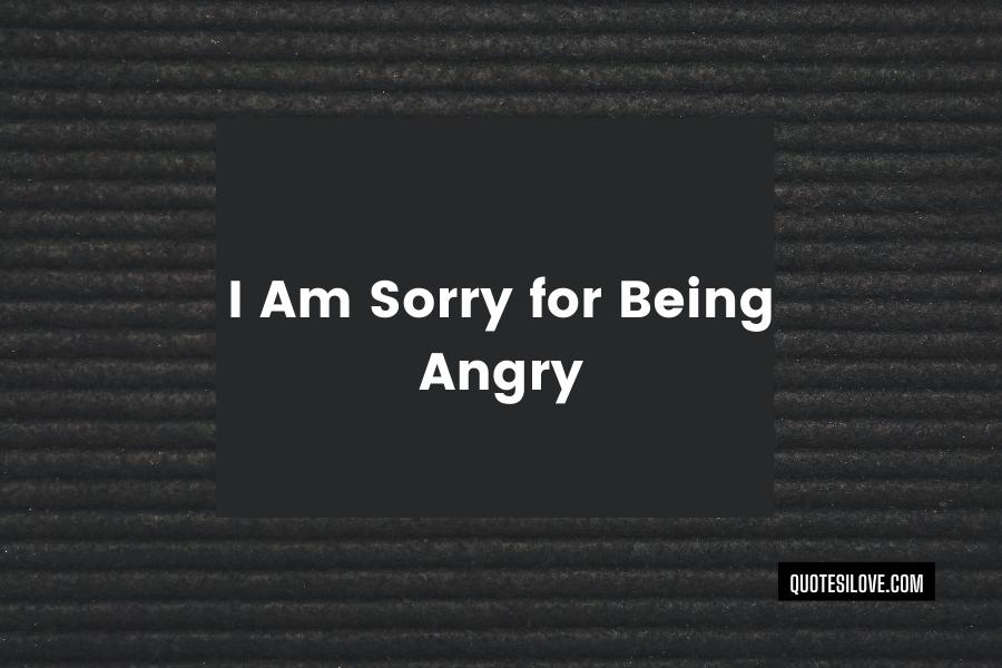 I Am Sorry for Being Angry Quotes