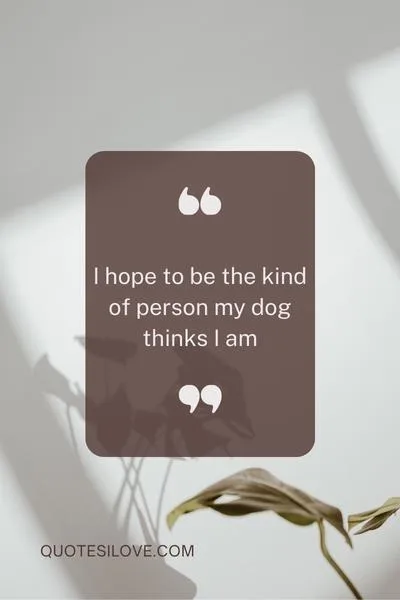 I Hope I Can Be a Better Person Quotes I Hope I Can Be a Better Person Quotes