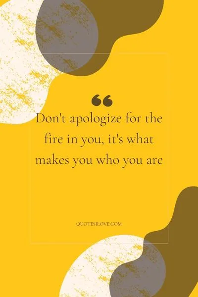 No Need to Be Sorry Quotes No Need to Be Sorry Quotes