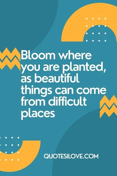 Always Bloom Quotes