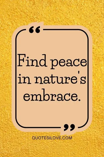 Hug the Nature Quotes