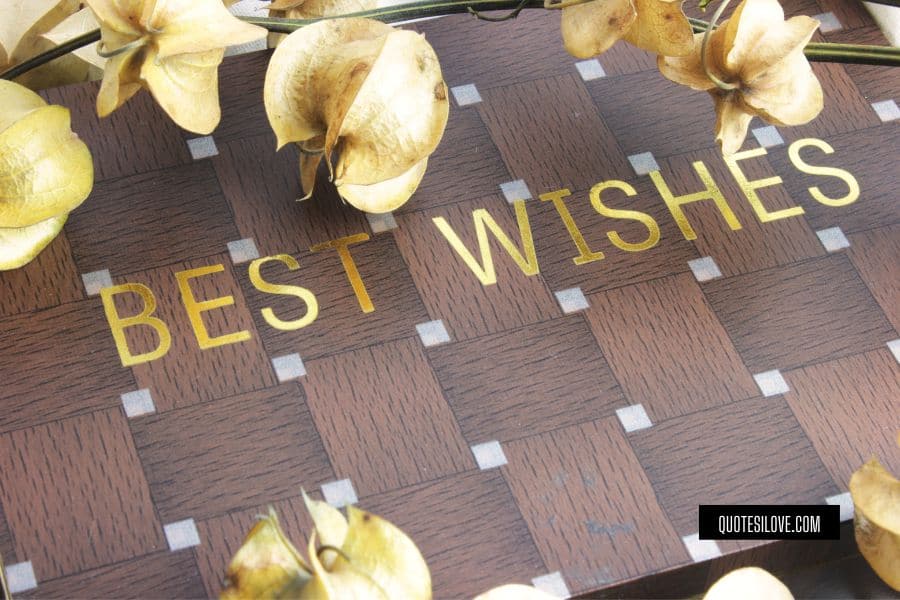 I Will Always Wish the Best for You Quotes
