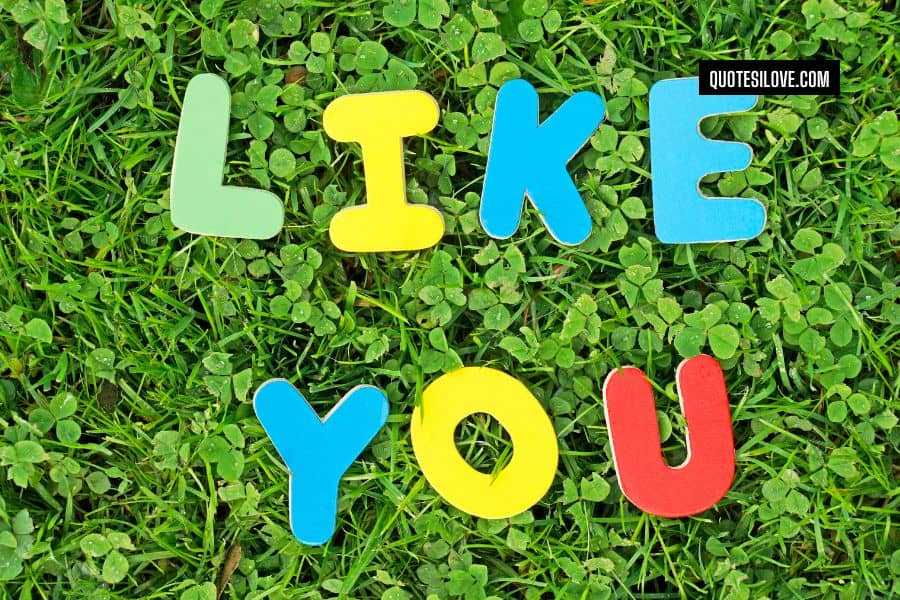 I Wish I Could Be Like You Quotes