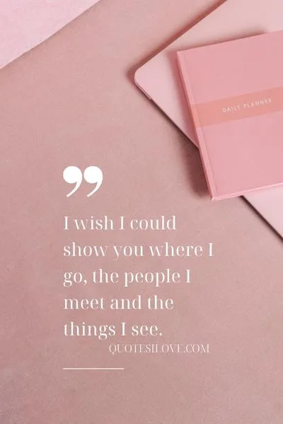 I Wish I Could Show You Quotes
