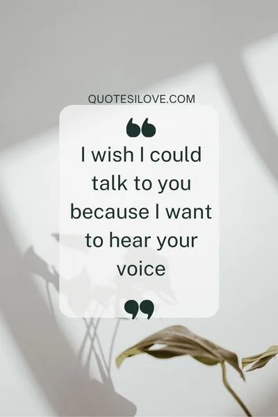 I Wish I Could Talk to You Quotes I Wish I Could Talk to You Quotes