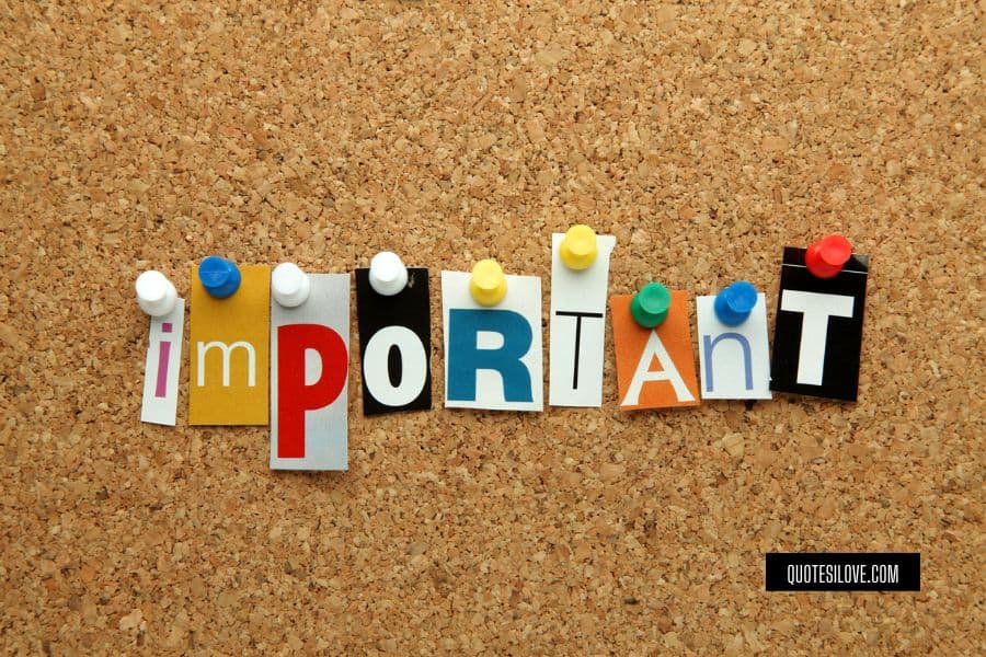 I Wish I Was Important Quotes