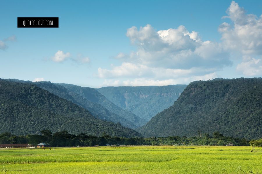 Value in the Valley Quotes