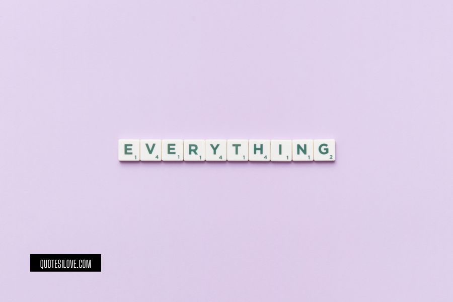 You Cant Have Everything in Life Quotes
