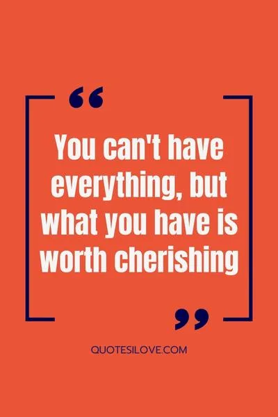 You Cant Have Everything in Life Quotes