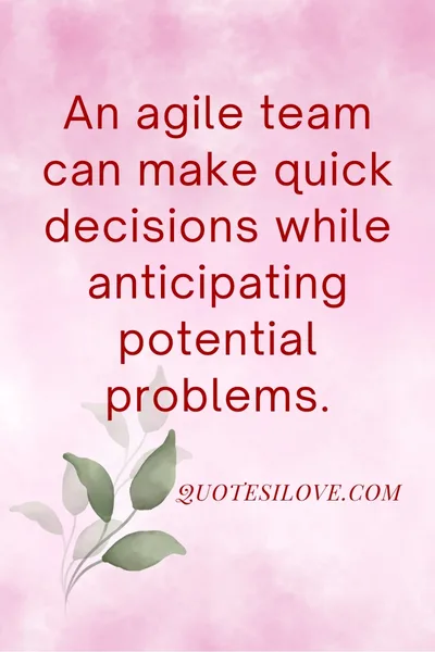 Agile Team Quotes Agile Team Quotes