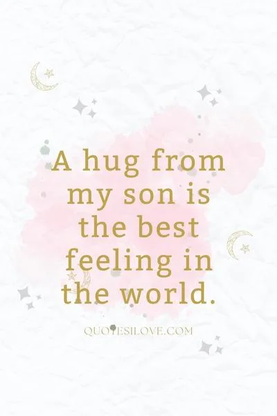 Hug From My Son Quotes