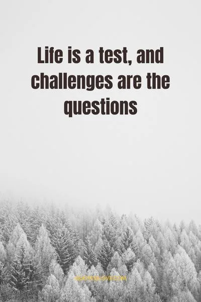 Life Is Full of Challenges Quotes Life Is Full of Challenges Quotes