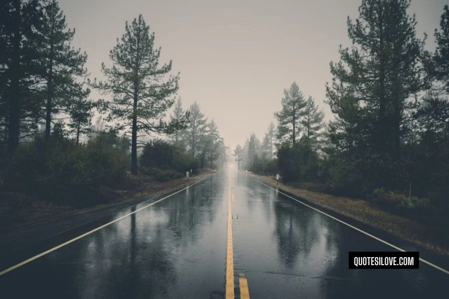 Rainy Road Quotes