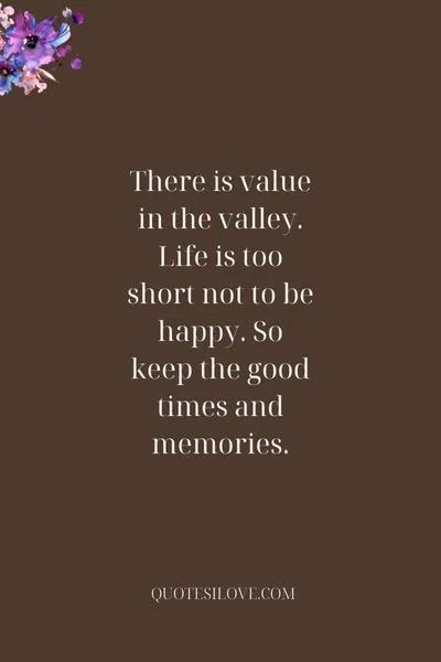 Value in the Valley Quotes