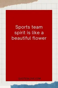 Sports Team Spirit Quotes
